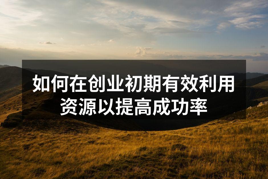 如何在创业初期有效利用资源以提高成功率
